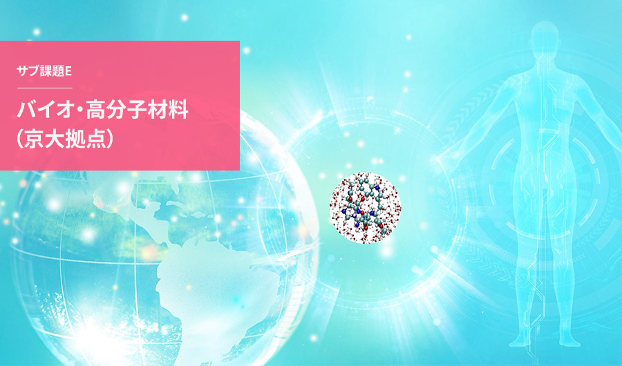 サブ課題E